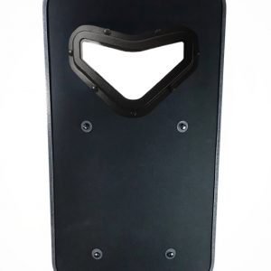RCX1